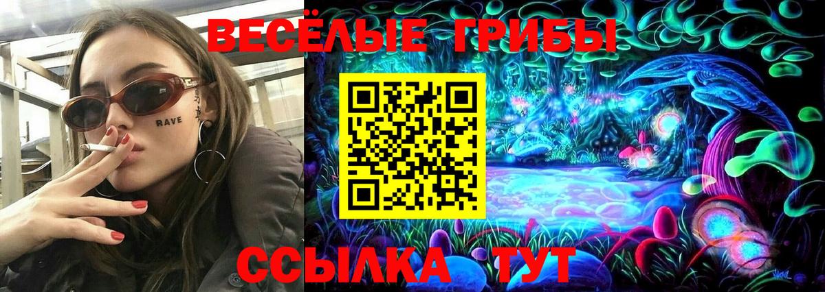 Псилоцибиновые грибы Magic Shrooms  Псилоцибиновые грибы GOLDEN TEACHER  купить наркотик  Ливны  Вход с VPN 